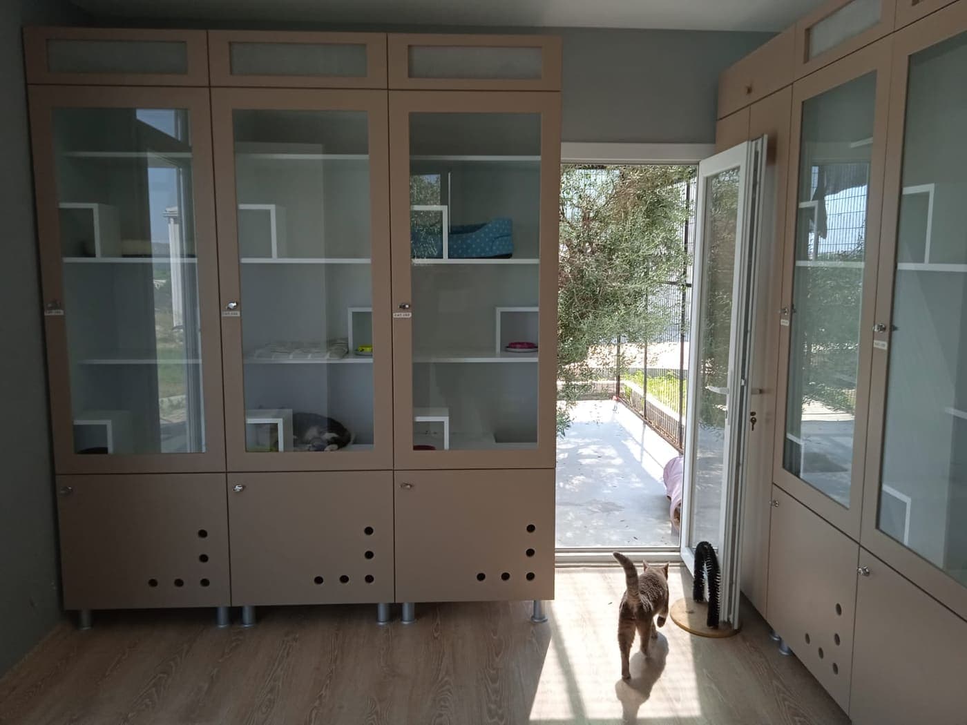 Cam kapaklı raf dolapları olan, bahçeye açılan oda